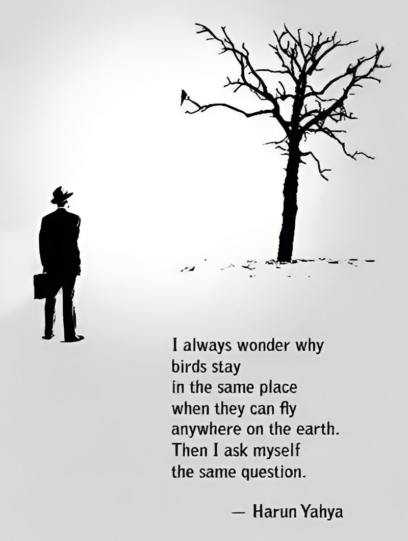 Thoughtful quote with tree silhouette