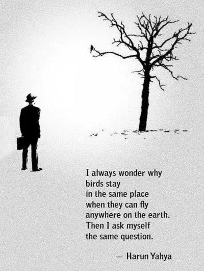 A man in a hat stands alone near a leafless tree in a snowy landscape.